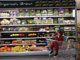 100-percent-organic-by-o-pish-posh.jpg