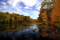 Youngs-Pond-Branford-Connecticut-by-slack12.jpg
