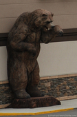 a-sign-of-things-to-come-bears.jpg