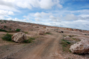 aruban-desert-jeep-ride.jpg