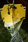 Spectracide's Bag-a-Bug Japanese Beetle traps.