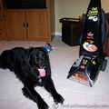 The Bissell proheat removes even the toughest stains!