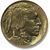 Buffalo Nickel - front.