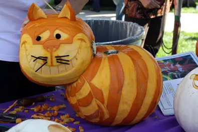 cheshire-cat-pumpkin-by-iceninejon.jpg