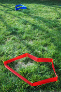 chip-challenge-chipping-greens.jpg