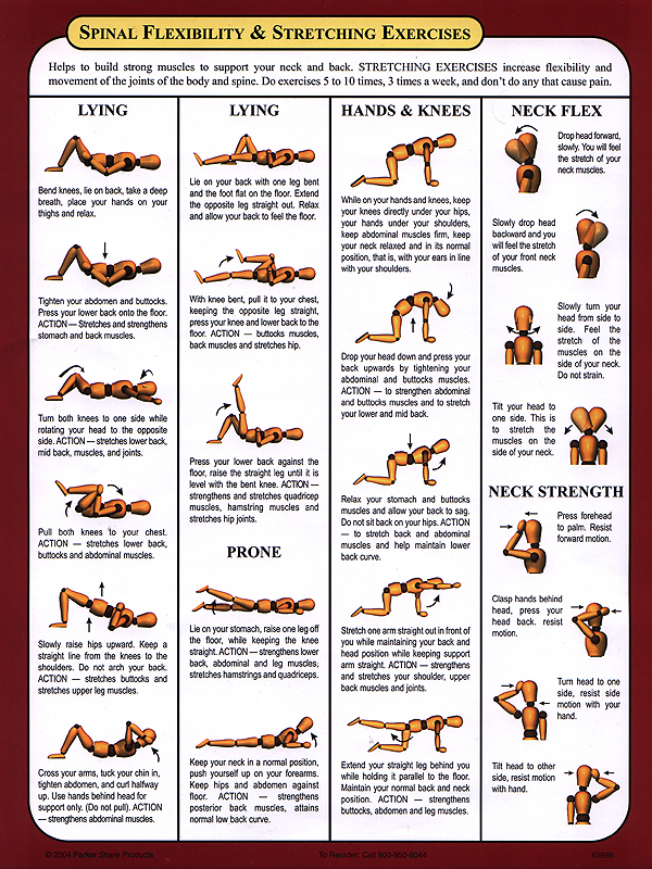 Best Stretching Exercises