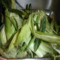 Corn husks from corn on the cob.