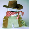 cowboy-costume-for-ipods.jpg