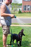 destin_bath_hose2.jpg