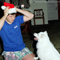 Our dog intrigued with the Santa hat Lynnette's brother is wearing.