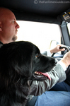 Jim driving the Jeep with our dog poking his head up into the front seat -- don't worry, he's seat-belted in, and this is as far as he can 'roam'.