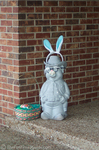 Easter bunny ears on the ceramic pig.