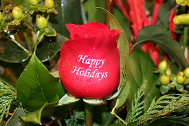 embossed-rose-happy-holidays.jpg