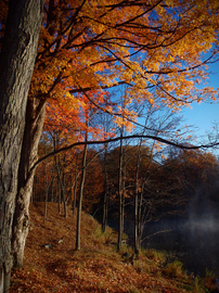 fall-colors-on-lake-by-inottawa.jpg