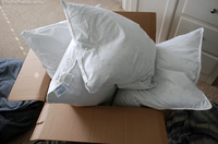 fluffy-new-down-pillows.jpg