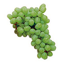 Green grapes.