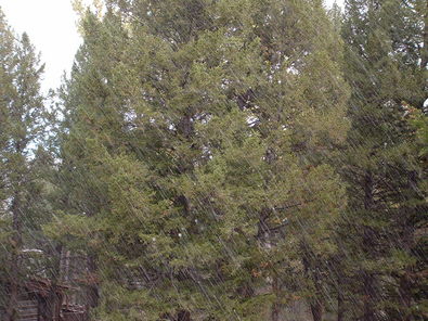gropple-montana-oct-4-2007.jpg