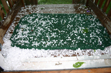 Hail pellets congregated on our doorstep.