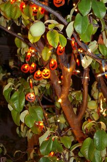 halloween-lights-in-tree-by-Vintage-Lulu.jpg