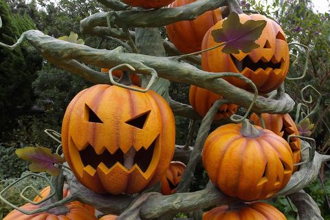 halloween-tree-tokyo-disneyland-by-SunToad.jpg