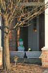 St. Patrick's Day pig on the porch.