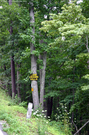 lane-crossing-kills-sign-dragons-tail.jpg