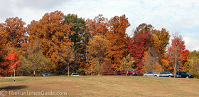 The Natchez Trace was a sea of colors AND cars on this beautiful Fall afternoon... here's a long row of cars parked at a pull-off along the Parkway.