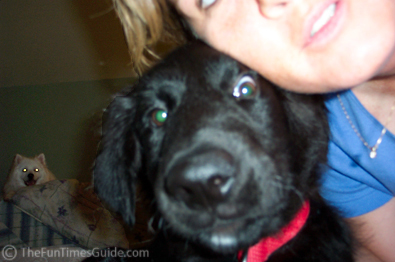 Lynnette... and Destin... and Jersey.