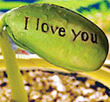 Message Bean with 'LOVE' written on it.