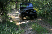 mud-on-the-trail-at-turkey-bay.jpg
