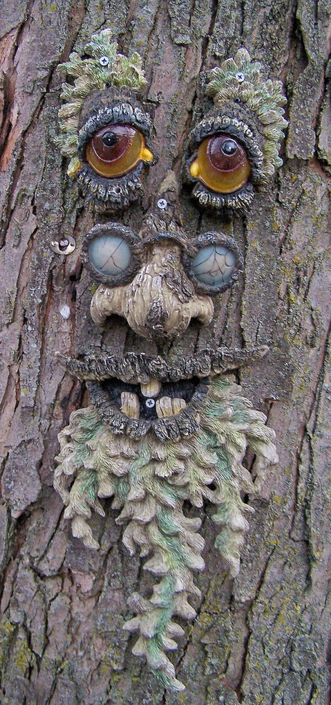 old-man-tree-face-by-Valerie-Everett.jpg
