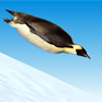penguin4.jpg