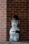 Pilgrim pig during Thanksgiving.