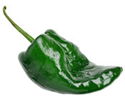 poblano-chili-pepper.jpg