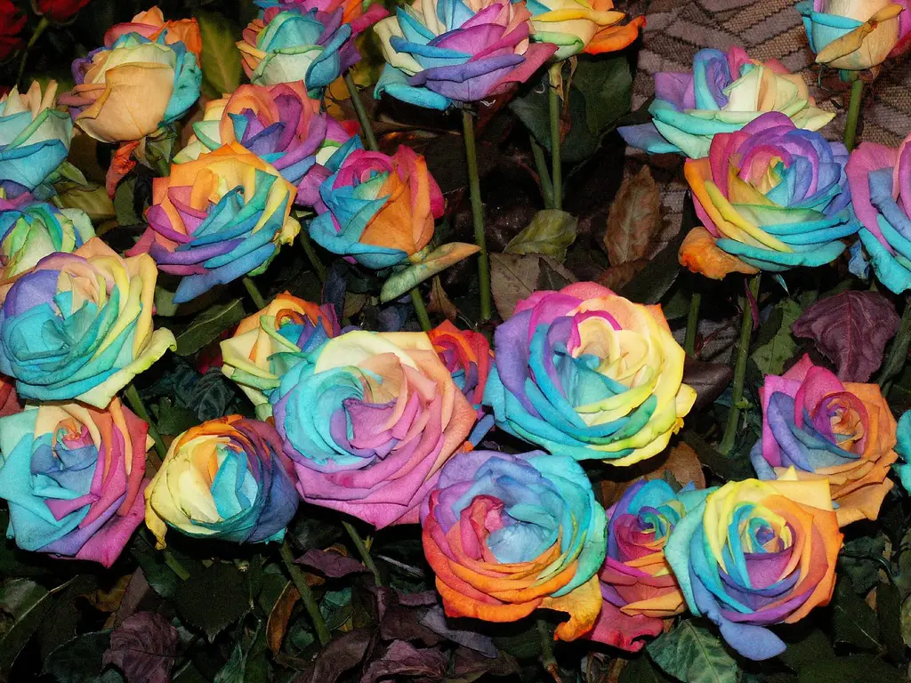 rainbow wedding decoration flower