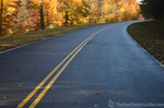 The road less traveled ...with freshly fallen leaves.