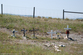 roadside-memorial-in-canada-rocks.jpg