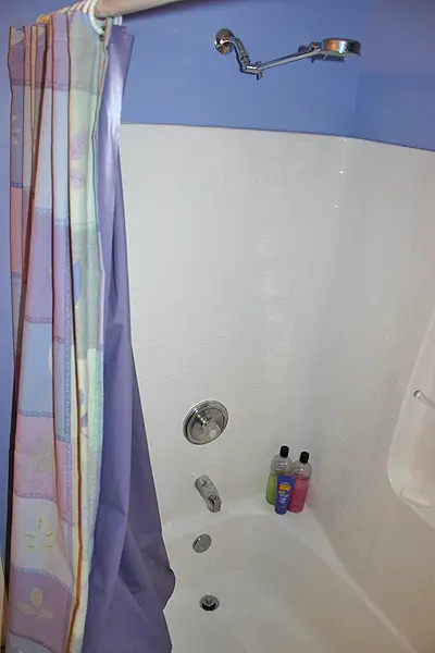 CLEANING SHOWER CURTAIN LINER? - CLEANING TIPS FORUM - GARDENWEB