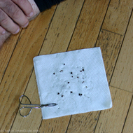 some-of-the-35-ticks-after-one-hike.jpg