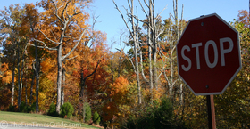 stop_for_autumn_colors.jpg