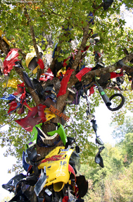 tankslappers-sign-in-tree-of-shame.jpg