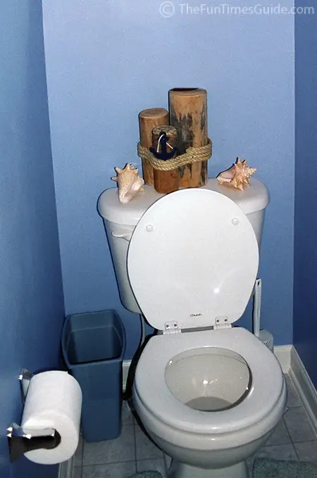 toilet-bowl-in-blue-bathroom.jpg