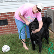 Giving Destin a bath in the backyard while wearing my favorite pink OP T-shirt.