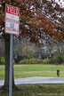 yield-to-pedestrians.jpg