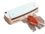 FoodSaver vacuum sealer