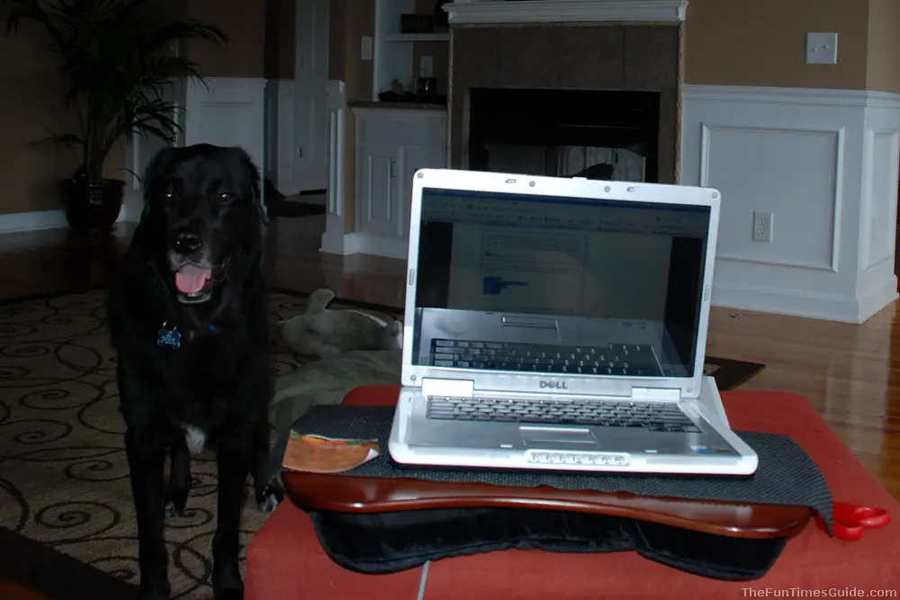 laptop-and-dog.jpg