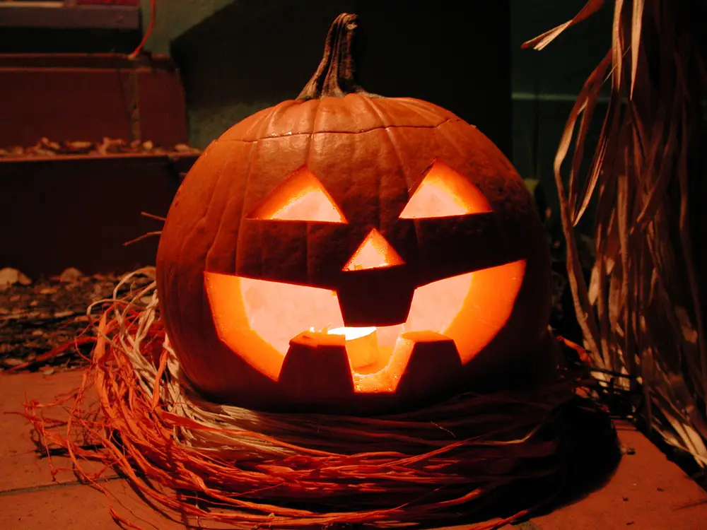 pumpkin carving big toothed jack o lantern by jeffk