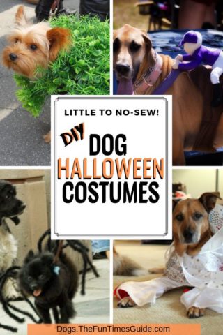 DIY Dog Halloween Costumes You Can Make Very Easily