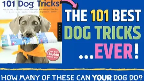 101 Best Dog Tricks Ever