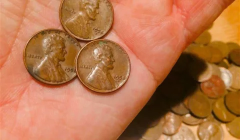 1958 Penny Value Guide: See If You’ve Got The 1958 Doubled Die Penny Worth $150,000+ Or A Regular 1958 Wheat Penny